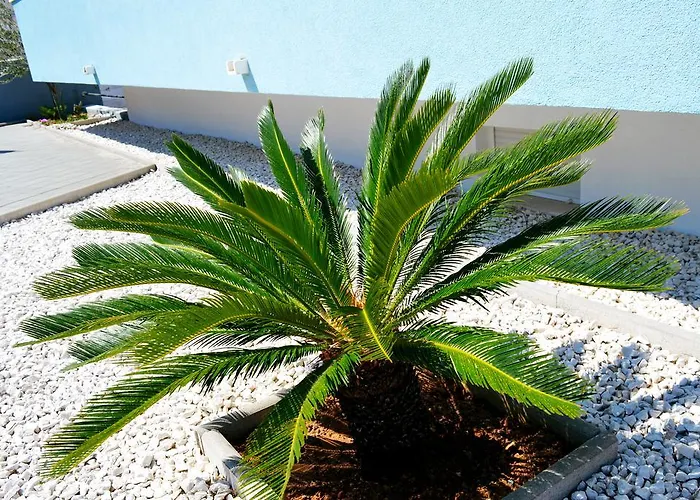 Appartamento Permarinus Podstrana