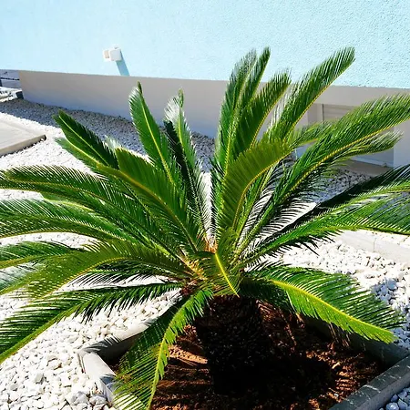 Lejlighed Permarinus Podstrana