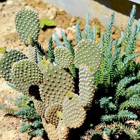 Permarinus Apartament Podstrana